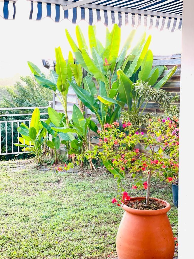 Villa Avec Vue T2 A T5 Duo De La Baie เลอ โฮแบร์ ภายนอก รูปภาพ